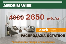 СКИДКА на AMORIM WISE
